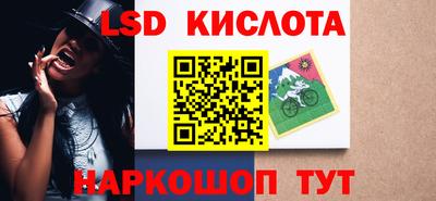 ПСИЛОЦИБИНОВЫЕ ГРИБЫ Кингисепп