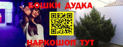 гидропоника Кимры