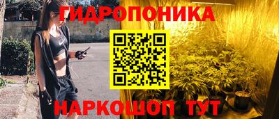 ПСИЛОЦИБИНОВЫЕ ГРИБЫ Кингисепп