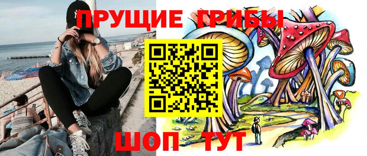 Галлюциногенные грибы мухоморы Конаково