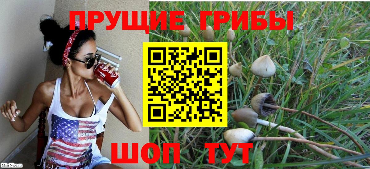 Галлюциногенные грибы прущие грибы  Вход с VPN  Конаково 
